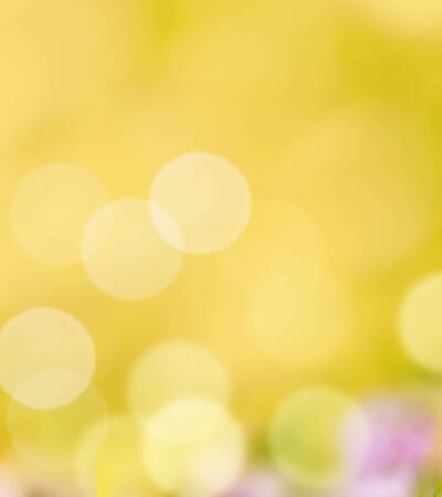 Banner, Panorama - Blumen mit Biene im Garten, Insektenweide